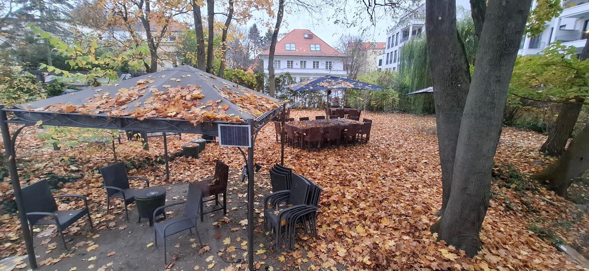 Bed & Breakfast King David Garden Berlino